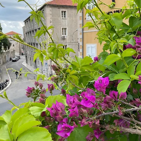 Terrace Suites-split